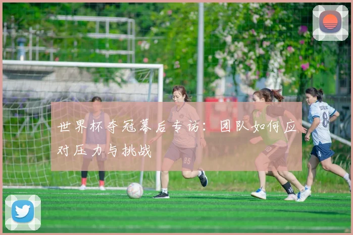 世界杯夺冠幕后专访：团队如何应对压力与挑战