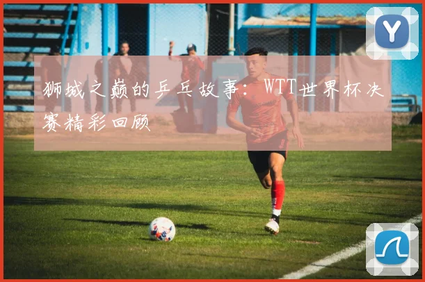 狮城之巅的乒乓故事：WTT世界杯决赛精彩回顾